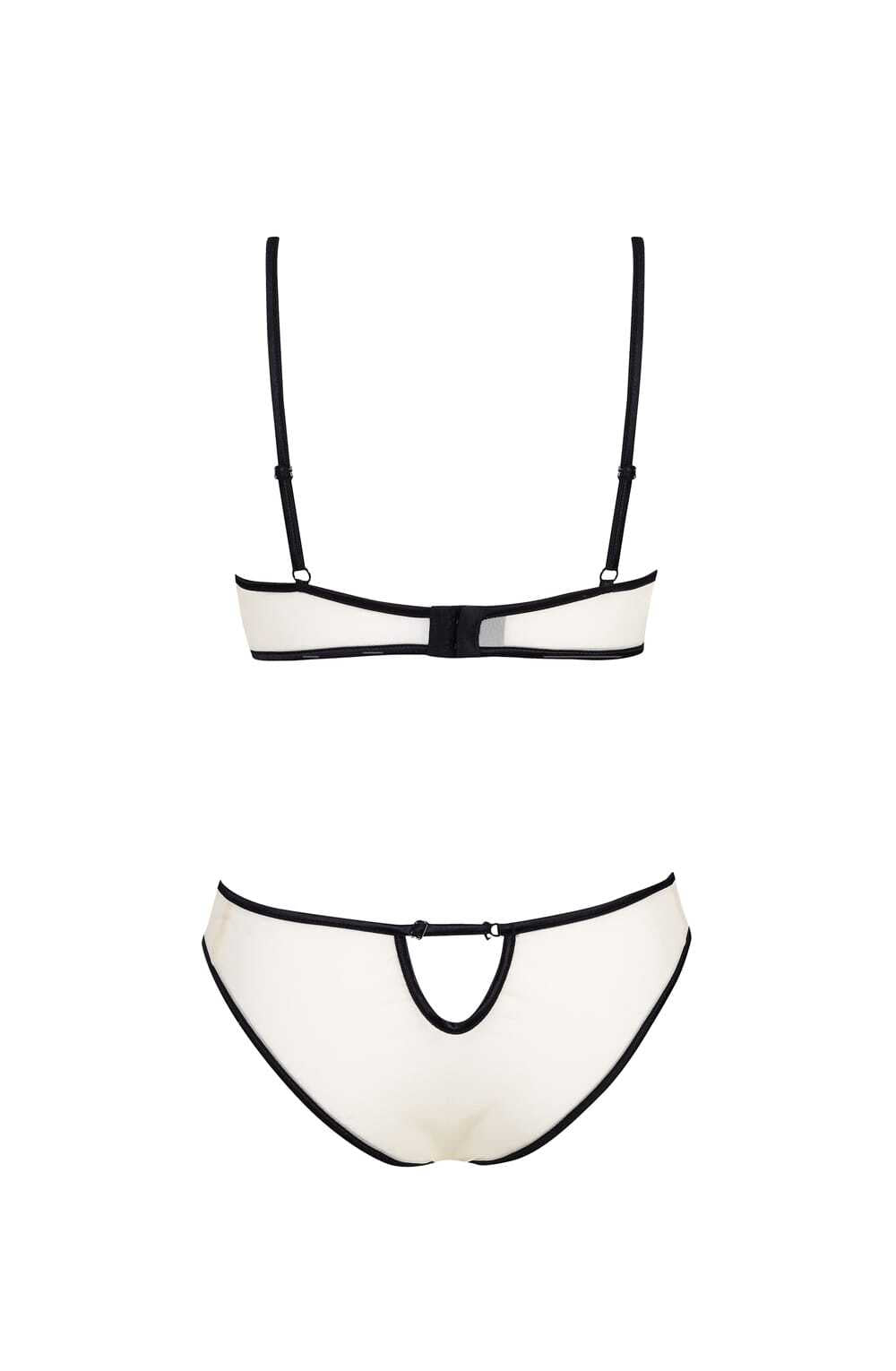 Beauty Night  Savannah Teddy